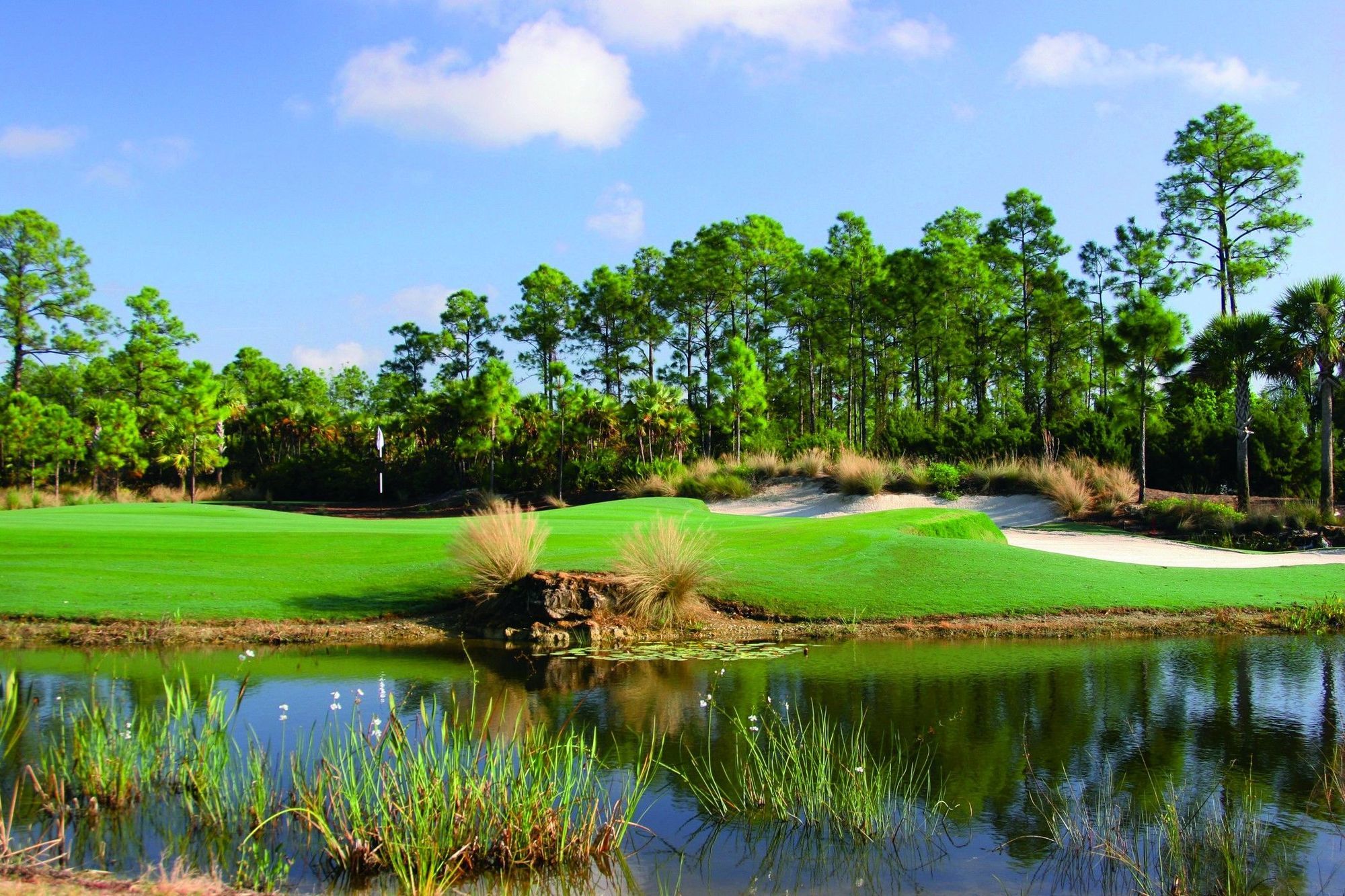 The Ritz-Carlton Naples, Tiburon Hotel Bagian luar foto